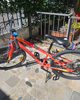Bicicletta bambino