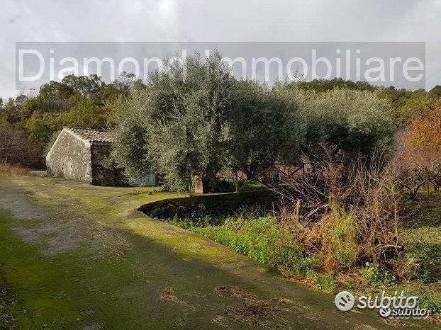Terreno 5 ettari con fabbricato Piedimonte Etneo - Altro