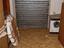 Immagine 14