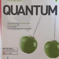 Quantum 1 - Fabbri-Masini_Baccaglini