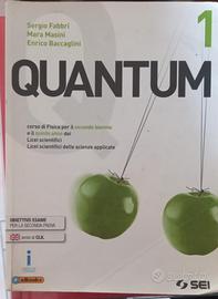 Quantum 1 - Fabbri-Masini_Baccaglini