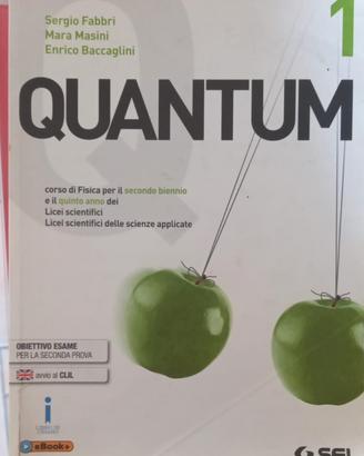 Quantum 1 - Fabbri-Masini_Baccaglini