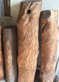 Tronchi in Legno di Ulivo Stagionato