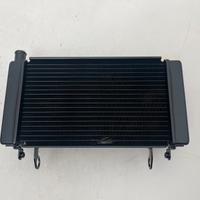 RADIATORE ACQUA BENELLI BN 600 CD 279146030000