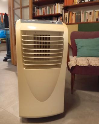 Climatizzatore portatile