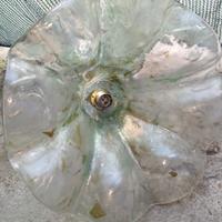 due lampadari di vetro di murano benissimi