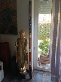 didgeridoo agave