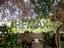 Immagine 19