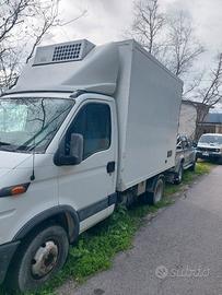 Daily frigo trasporto carni