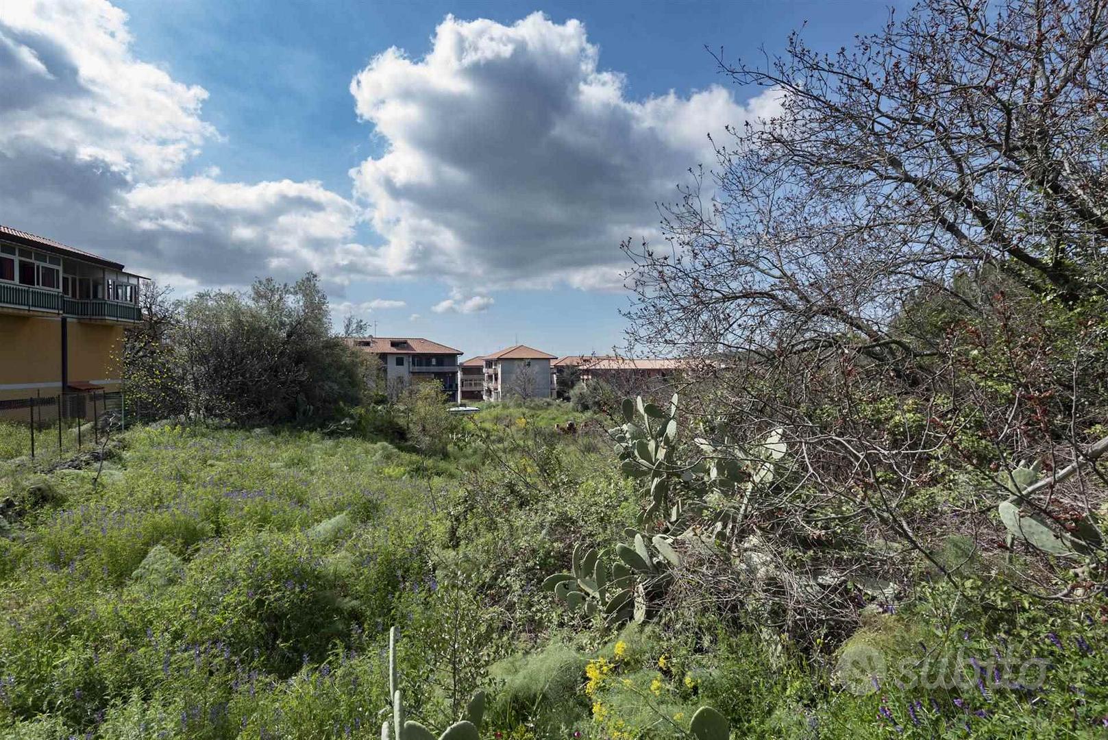 Rif.AL271- area edificabile pedara - Vista 4