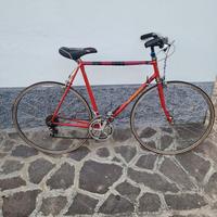 bici sportiva