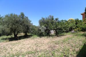 TER. RESIDENZIALE A GIULIANOVA