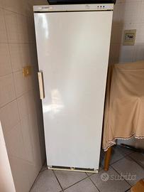 Freezer Alaska