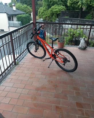 bicicletta 