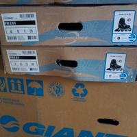rollerblade pattini in linea