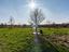 Immagine 26