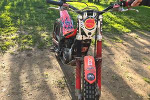 Trial Beta Evo 125