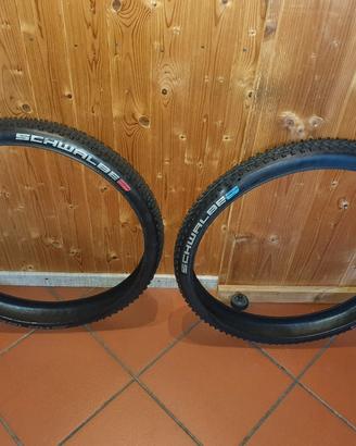 Gomme MTB Schwalbe 