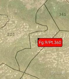 Terreno per pascolo Castelmola