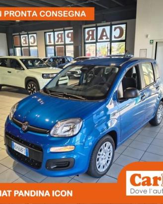 FIAT Pandina 1.0 FireFly 65CV Hybrid Icon