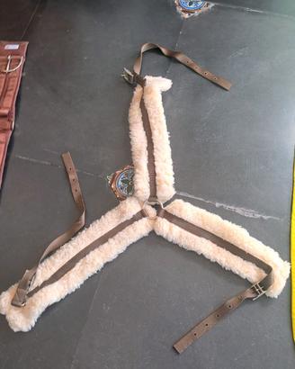 Pettorale ad Y per equitazione