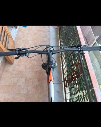  MTB Bottecchia fx125 da 29