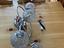 Immagine 2