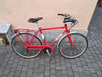 Bici uomo ALPINA