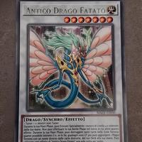 antico drago fatato 