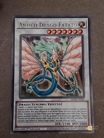 antico drago fatato 