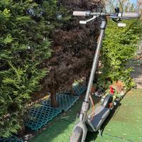 Monopattino Ninebot F40I Electric Scooter