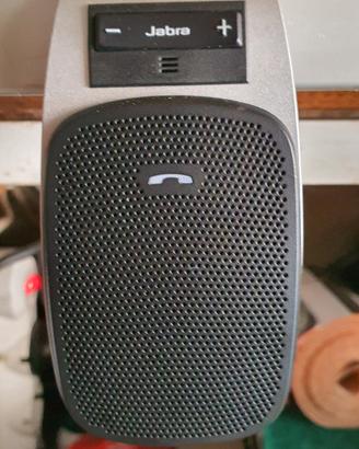 vivavoce 