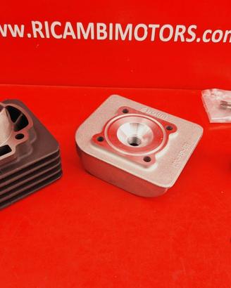 GRUPPO TERMICO POLINI D47 70cc
