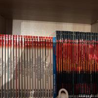 Morgan lost serie completa