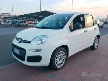 FIAT PANDA 1.2 BENZINA 2019 5 POSTI POCHI KM