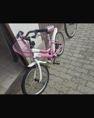Bicicletta