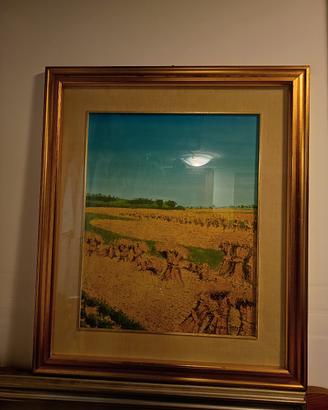Quadro olio su tela