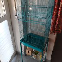 gabbia colerr tiffany