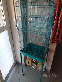 gabbia colerr tiffany