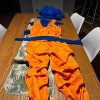 Vestito di goku dragon ball