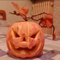 Zucca