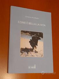 Come è bella la vita di Umberto Manfredini