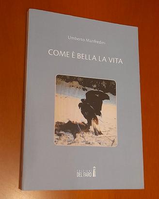 Come è bella la vita di Umberto Manfredini