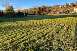Terreno edificabile a Segnacco Tarcento
