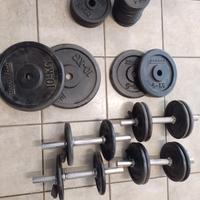 Manubri e dischi ghisa palestra