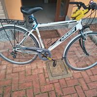 bici da uomo 