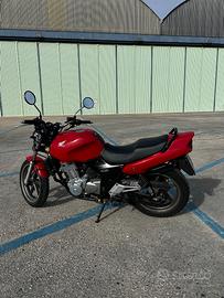 Motocicletta Honda CB 500 S - 1999