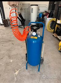 Maialino da lavaggio