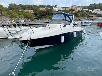 Murena Petrachi WA 730