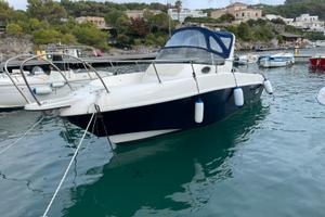 Murena Petrachi WA 730